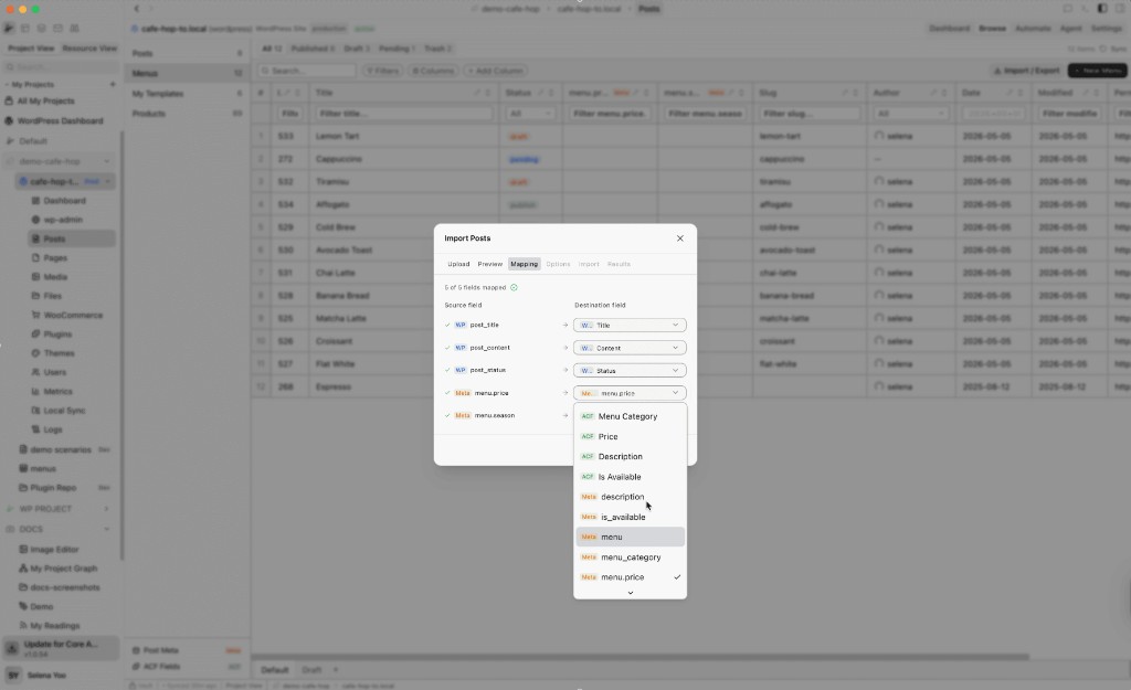 Import Posts wizard on Mapping step with source fields and destination dropdowns
