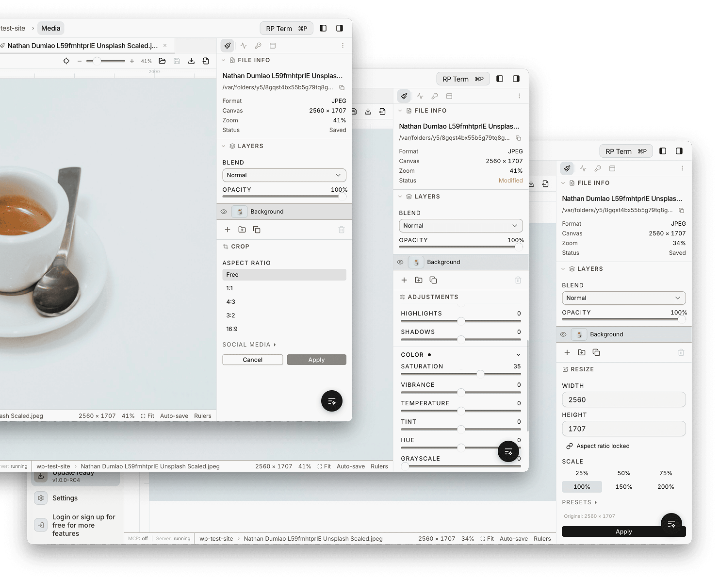 Image editor showing crop, adjustments, and resize tool panels side by side