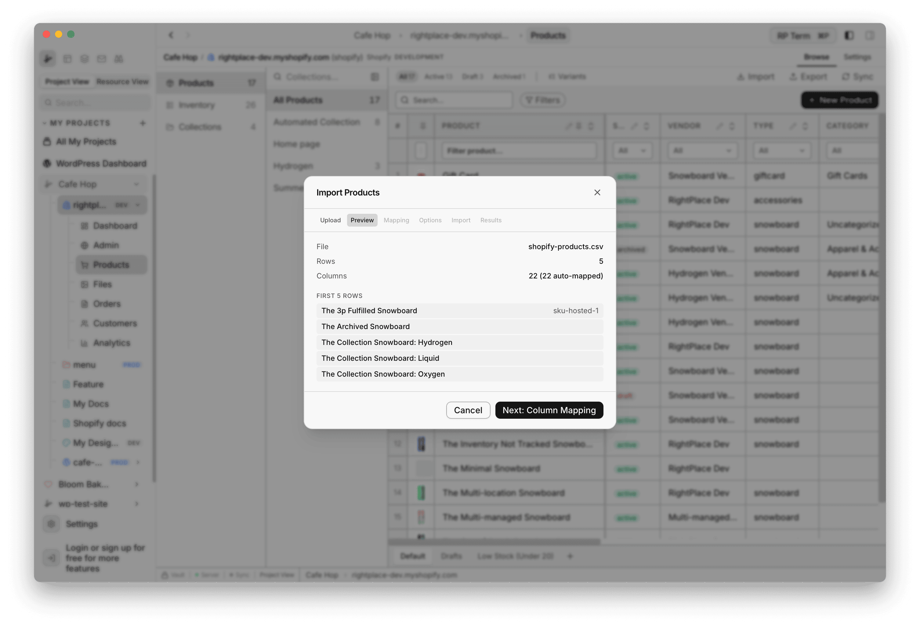 Import Products Preview step with file name and sample rows