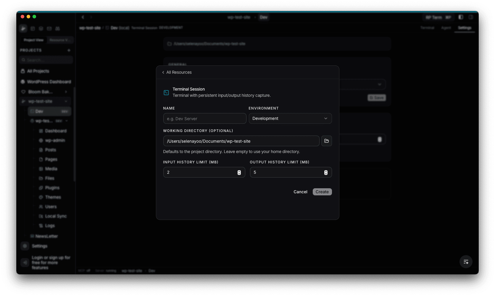 Terminal Session creation form with name, environment, working directory, and history limit fields