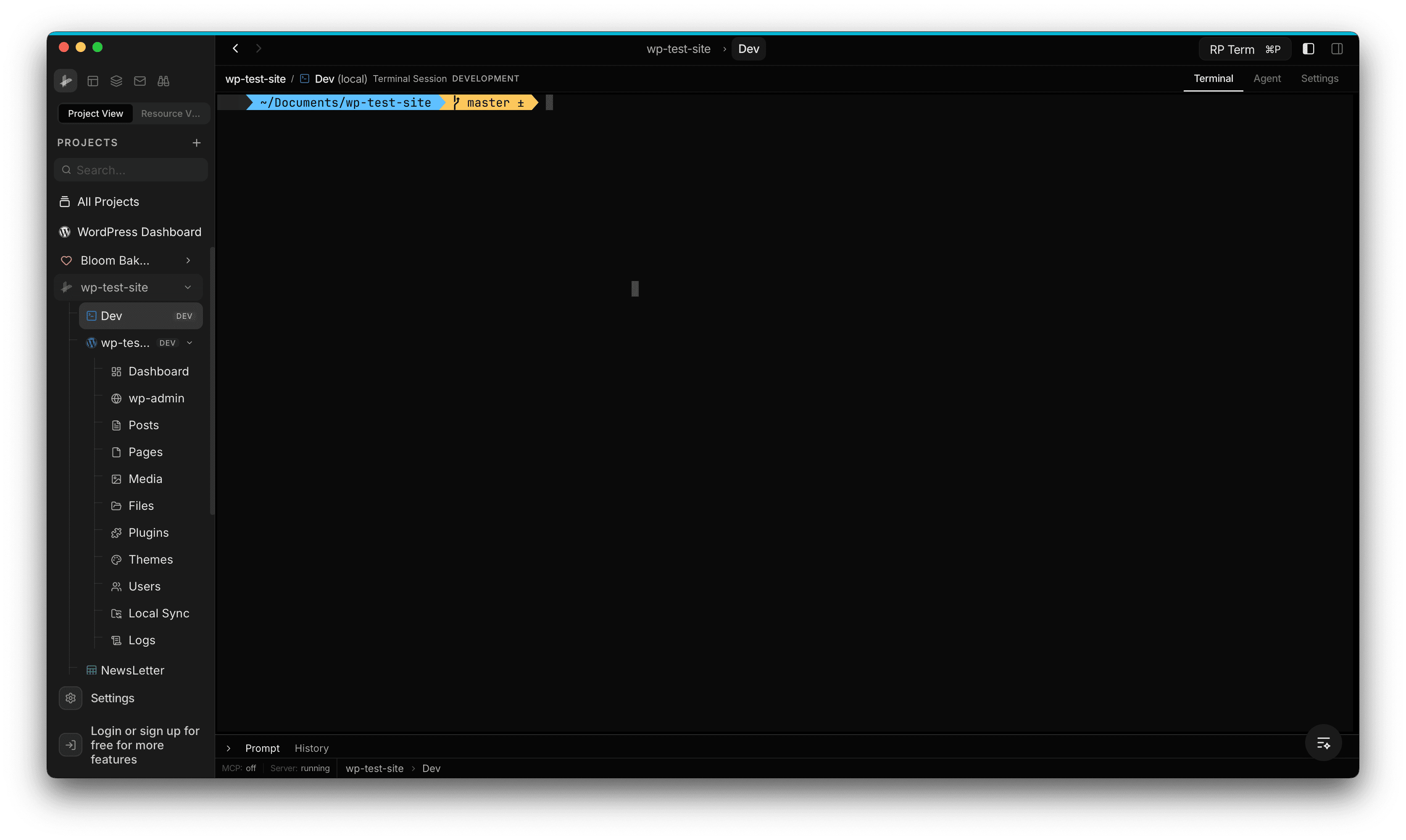 Terminal session open in a Dev stage, showing the shell prompt at the project working directory with Prompt and History tabs at the bottom