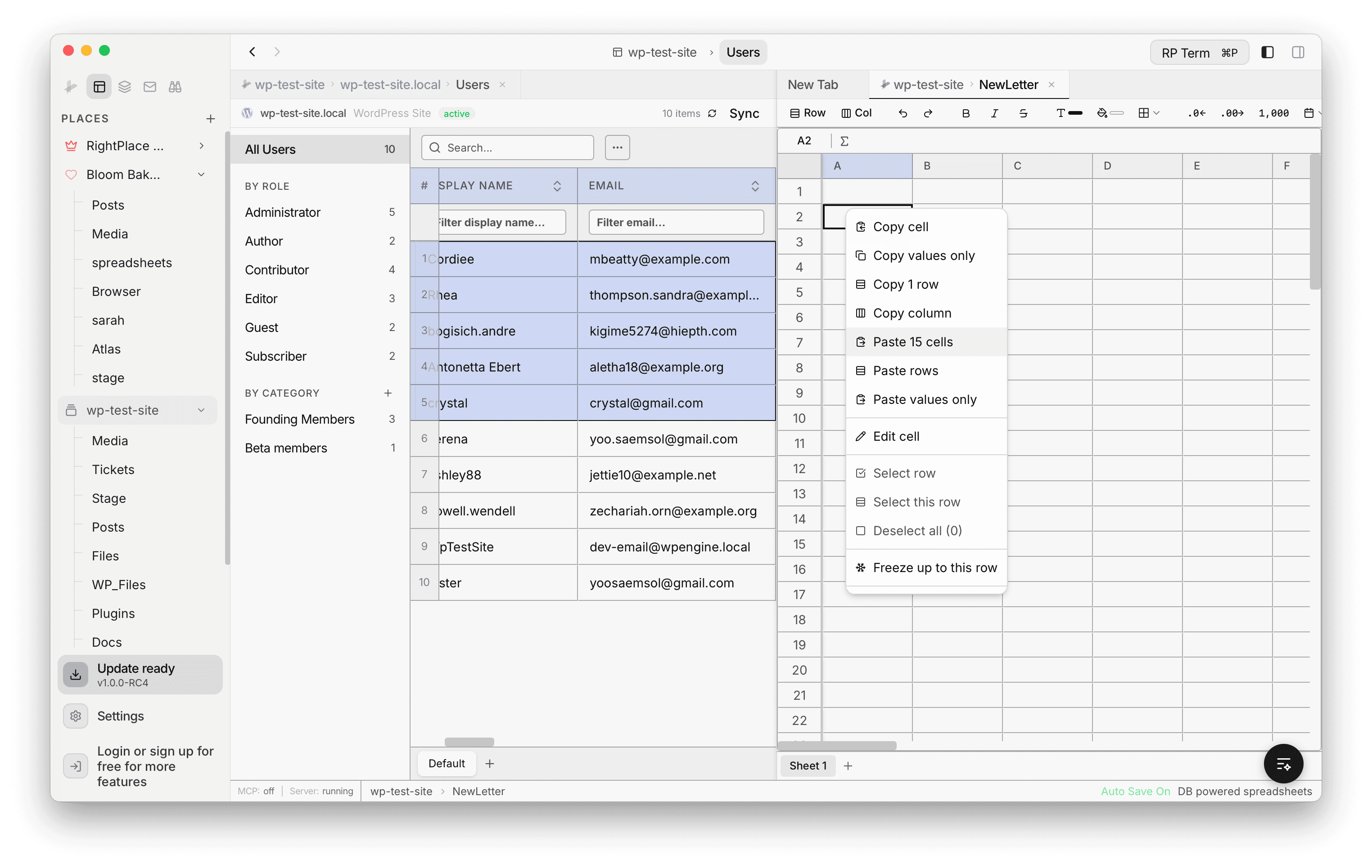 Context menu on the spreadsheet showing copy and paste options for cells, rows, columns, and values