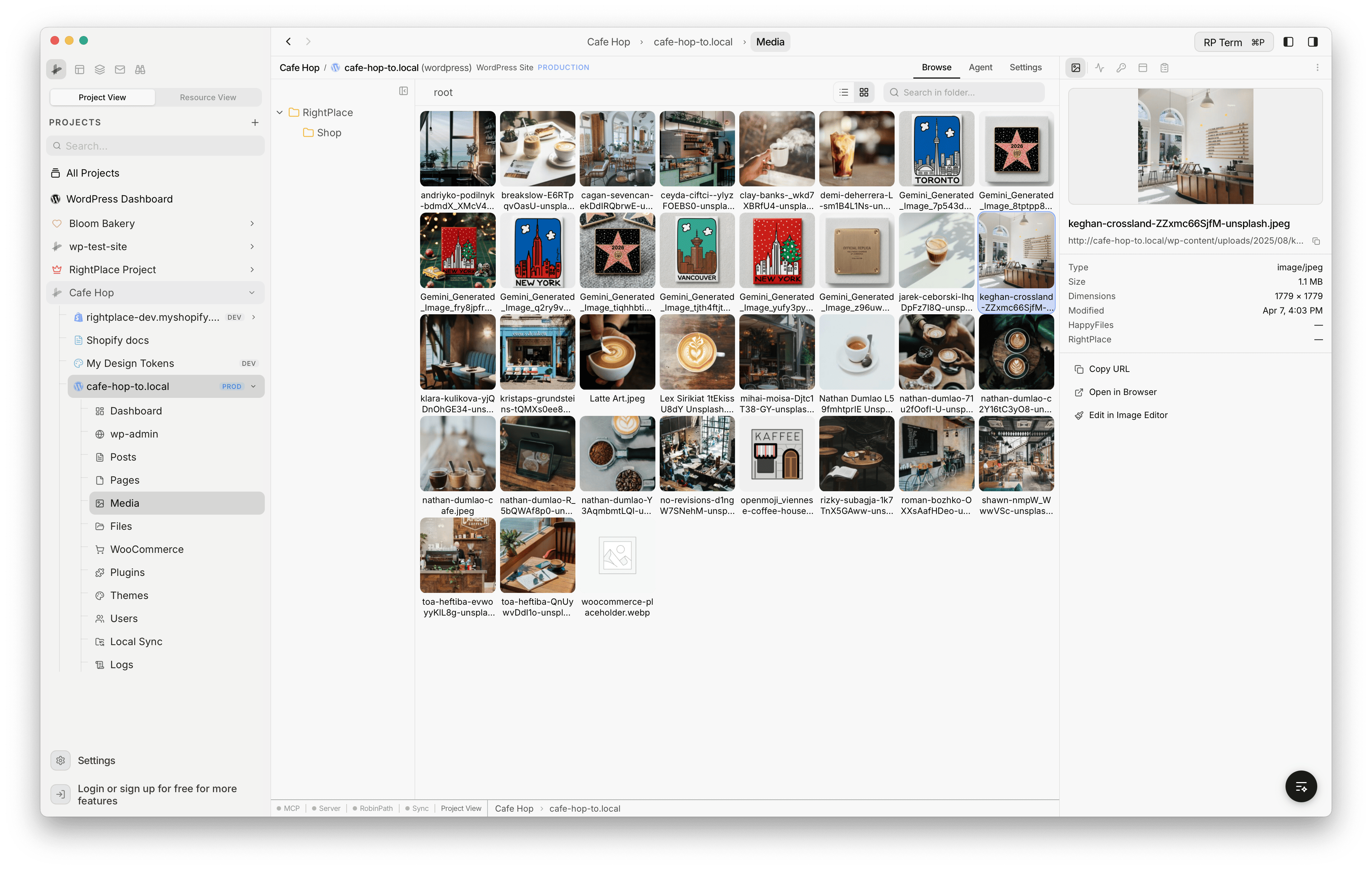 Media panel showing image preview, filename, dimensions, folder associations, and action buttons